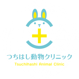 main_logo